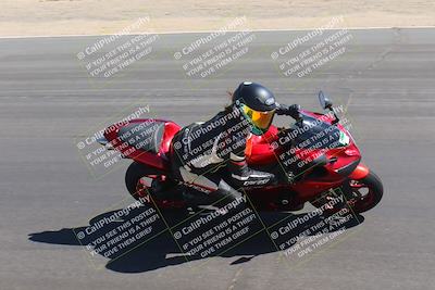 media/Oct-01-2023-SoCal Trackdays (Sun) [[4c570cc352]]/Turn 10 Inside (1250pm)/